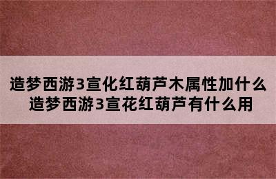 造梦西游3宣化红葫芦木属性加什么 造梦西游3宣花红葫芦有什么用